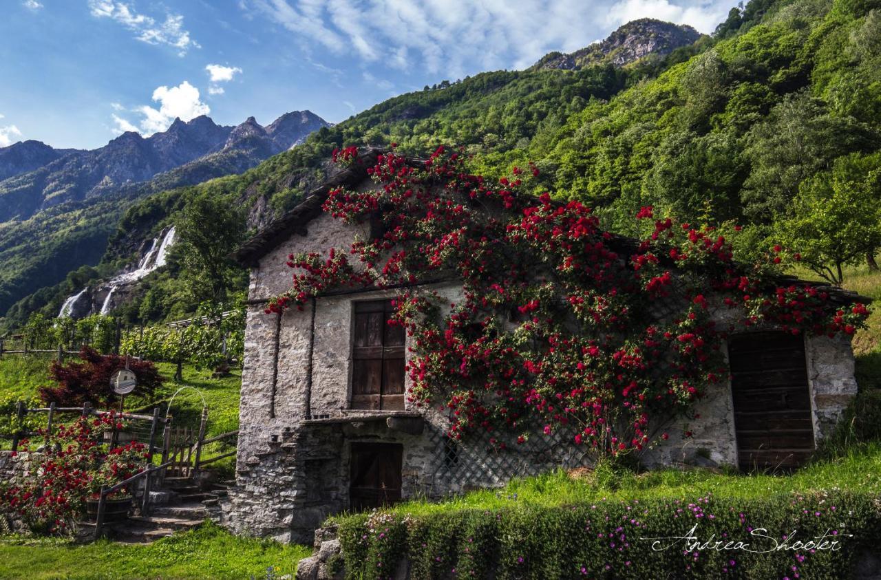 Cà Bregaglia - appartamenti per vacanze Prosto di Piuro Extérieur photo